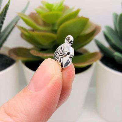 50 Pcs Silver Sand Dollar Charms Image 3