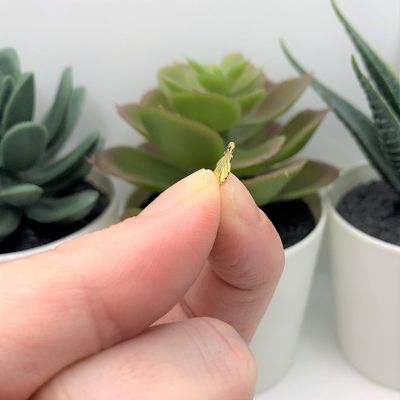 50 Pcs Tiny Sea Shell Charms Image 3