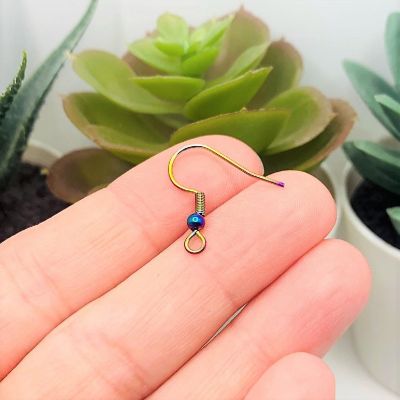 500 Pcs Rainbow Fish Hook Earring Wires Image 2