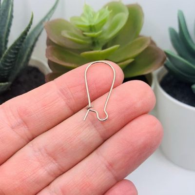 500 Pieces Antique Silver Earring Wires Image 1