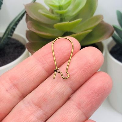 500 Pieces Bronze Earring Wires Image 1