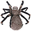 53" Deluxe Light Up Spider Decoration Image 1
