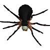 53" Deluxe Light Up Spider Decoration Image 3