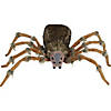 53" Deluxe Lightup Wolf Spider Decoration Image 1