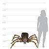 53" Deluxe Lightup Wolf Spider Decoration Image 3