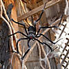 55" Poseable Hairy Joints Black Wolf Spider Halloween Decoration Image 1