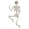 6 Ft. 6" Skeleton Titan Plastic Poseable Halloween Decoration Image 1