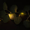 6 Ft. 7" Green Eucalyptus Rattan String Lights Image 1