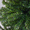 6' Full Canadian Pine Artificial Christmas Tree - Unlit Image 1