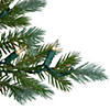 6' Pre-Lit Blue Spruce Artificial Christmas Tree  Clear Lights Image 1