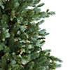 6' Pre-Lit Blue Spruce Artificial Christmas Tree  Clear Lights Image 3