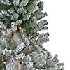 6' Pre-Lit Flocked Alpine Artificial Christmas Tree  Clear Lights Image 3