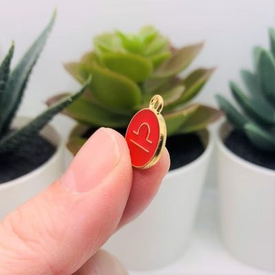 60 Pcs Red Round Zodiac Charms Image 3