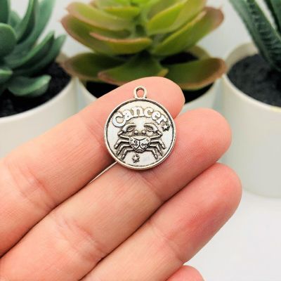 60 Pcs Silver Zodiac Coin Charm Set Image 2