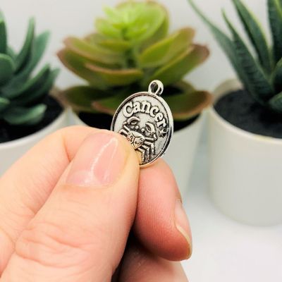 60 Pcs Silver Zodiac Coin Charm Set Image 3