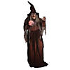 68" Soothsayer Digiteye Witch Prop Image 1