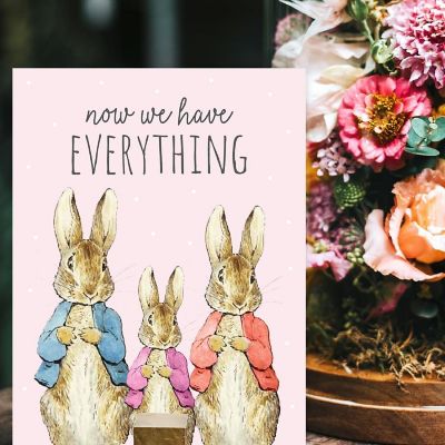 6Pc Peter Rabbit Pink First We Had Each Image 1