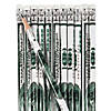 7 1/2" $100 Bill Green & White Novelty Wood Pencils - 24 Pc. Image 1