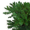 7.5' Green Sugar Pine Artificial Upside Down Christmas Tree - Unlit Image 1