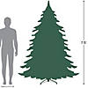 7.5' Pre-Lit Washington Frasier Fir Multi-Function Slim Christmas Tree - Dual Color LED Lights Image 1