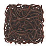 7&#8221; Bulk 144 Pc. Realistic Textured Brown Rubber Earthworms Image 1