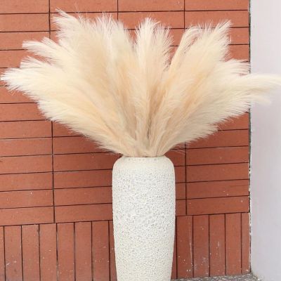 7-Pcs Beige Pampas Grass Boho Decor Image 1