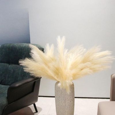 7-Pcs Beige Pampas Grass Boho Decor Image 2