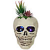 8.75" LED Lighted Succulent Halloween Skull Planter Image 1