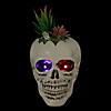 8.75" LED Lighted Succulent Halloween Skull Planter Image 1