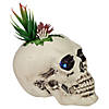 8.75" LED Lighted Succulent Halloween Skull Planter Image 3