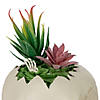 8.75" LED Lighted Succulent Halloween Skull Planter Image 4