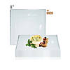 8" Clear Square Plastic Appetizer/Salad Plates (50 Plates) Image 3