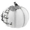 8" White and Black Warm Harvest Blessing Thanksgiving Table Top Pumpkin Image 4