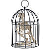 9 1/2" Skeleton Crow in a Cage Halloween Decoration Image 1