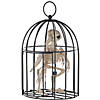 9 1/2" Skeleton Crow in a Cage Halloween Decoration Image 3