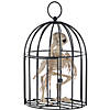 9 1/2" Skeleton Crow in a Cage Image 3