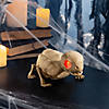 9" Animated Skeleton Turtle Halloween Decoration Image 1