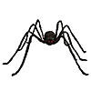 98 1/2" Large Poseable Hairy Black Spider Halloween Decoration Image 1