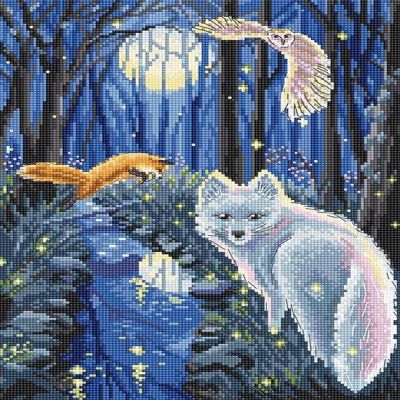 A Midsummer Night L8060 LetiStitch Counted Cross Stitch Kit Image 1