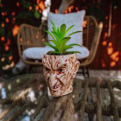 A Nightmare On Elm Street Freddy Krueger Ceramic Planter w/ Artificial Succulent Image 3