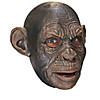 Adult Blake Ape Mask Image 1