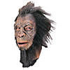 Adult Blake Hairy Ape Mask Image 1