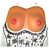 Adult Breast Apron Image 1