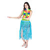 Adult&#8217;s Dyed Raffia Hula Skirts- 12 Pc. Image 1