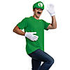 Adults Classic Elevated Super Mario Bros&#8482; Luigi Costume Accessory Kit Image 1