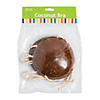 Adults Coconut Bra Image 2