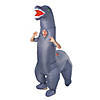 Adults Diplodocus Dinosaur Inflatable Costume Image 1