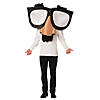 Adults Funny Nose Glasses Costume - 1 Pc. Image 1