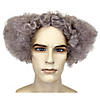 Adults Gray Mad Scientist Wig Image 1