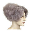 Adults Gray Mad Scientist Wig Image 1